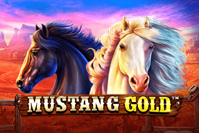 Mustang Gold